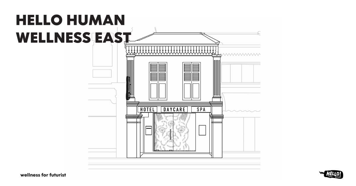 Hello Human Wellness East | SG’s 1st Canine Psychology Daycare & Hotel