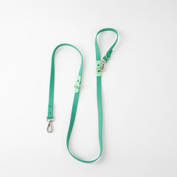 Approved by Fritz Liberty Green Leash