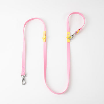 Approved by Fritz Pink Lemonade Leash